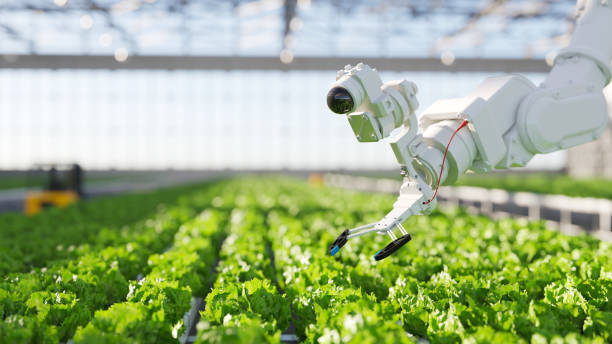 Vertical Farming