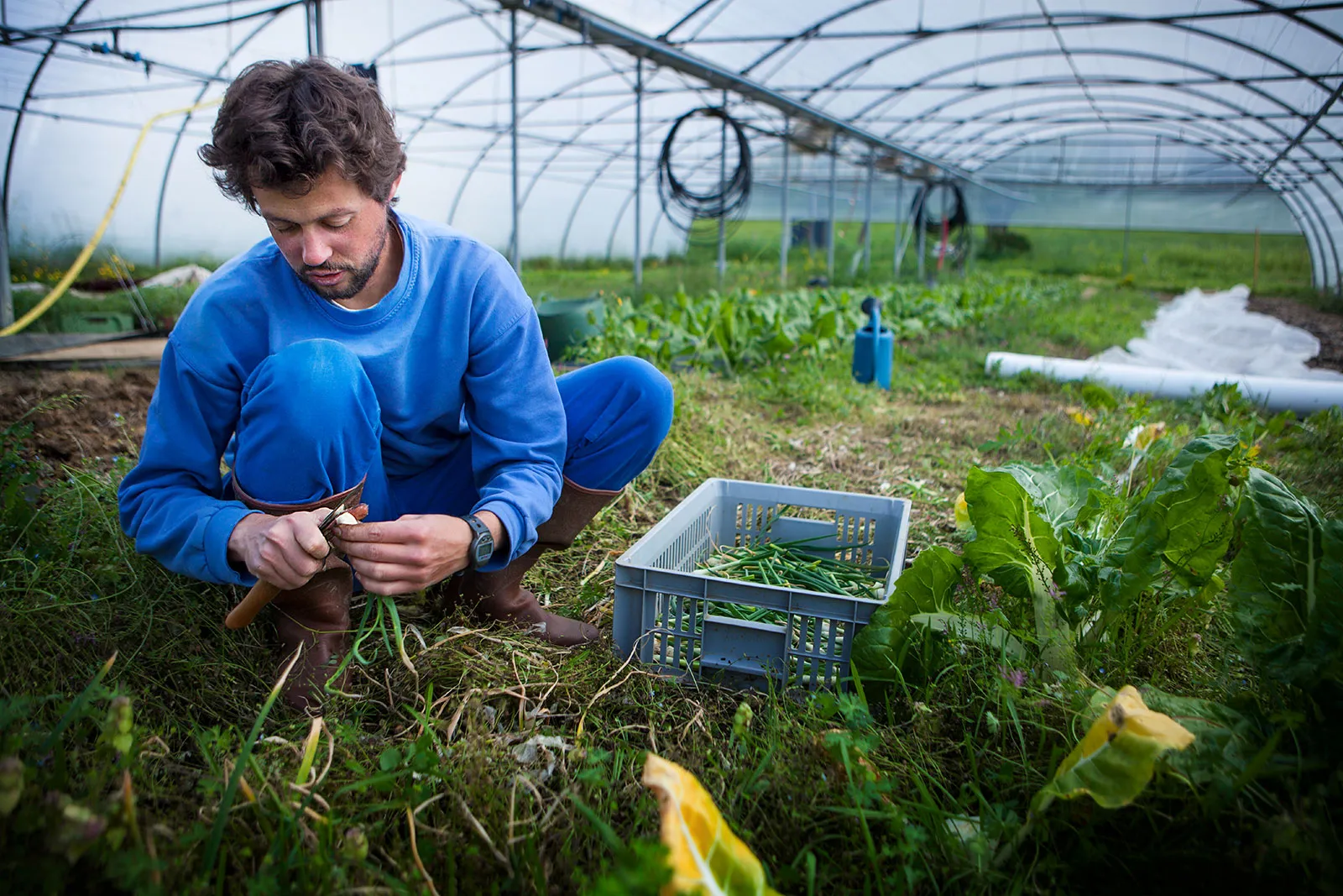 Sustainable Farming