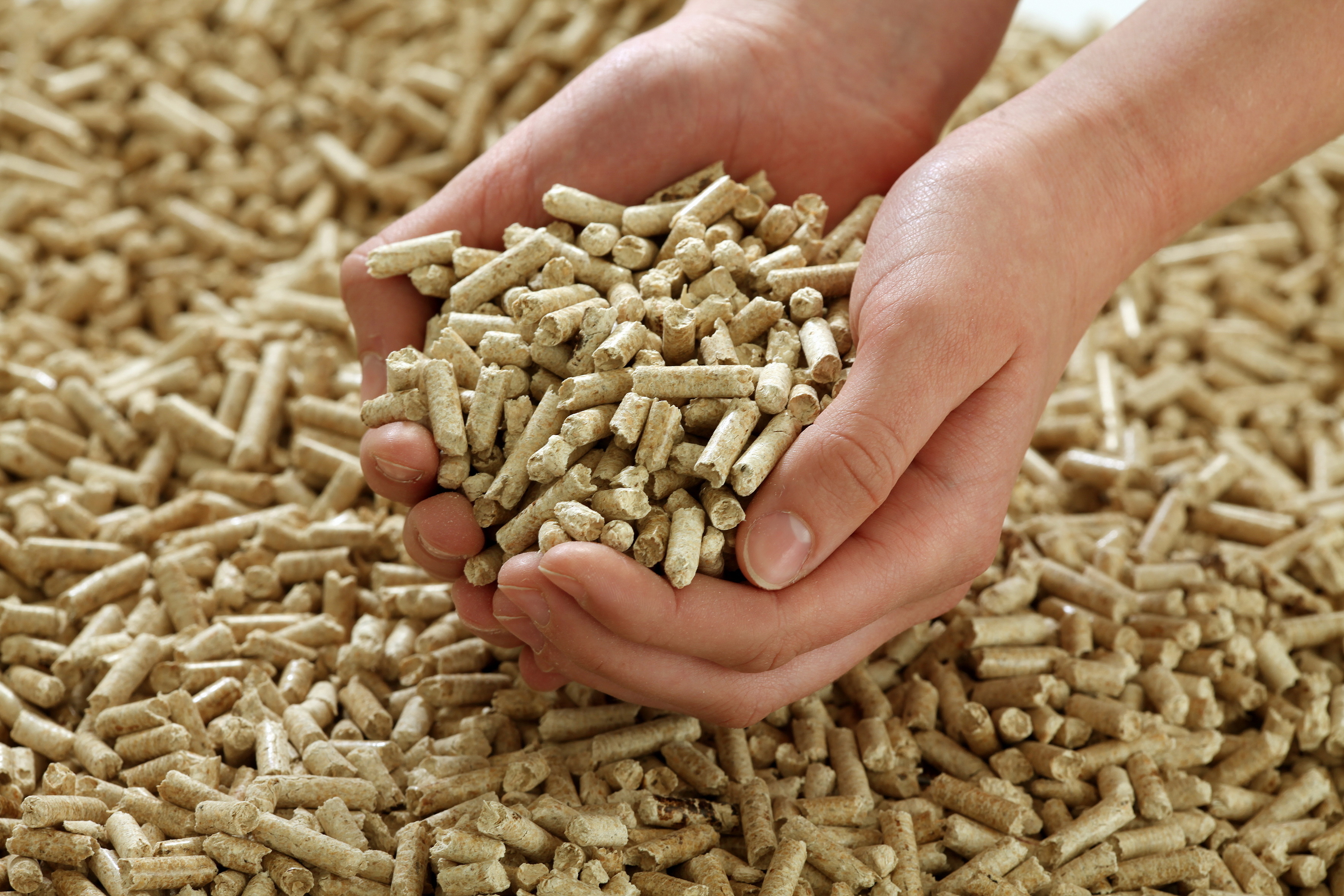 Wood Pellet Production Process