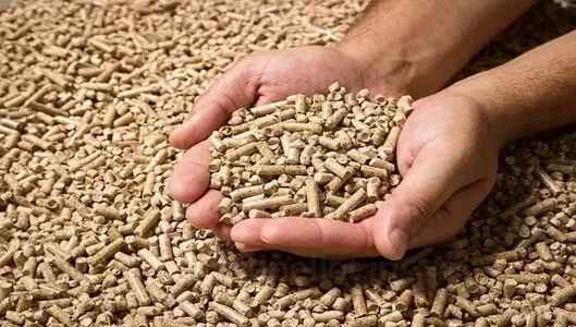 Container Pellet Plant Overview