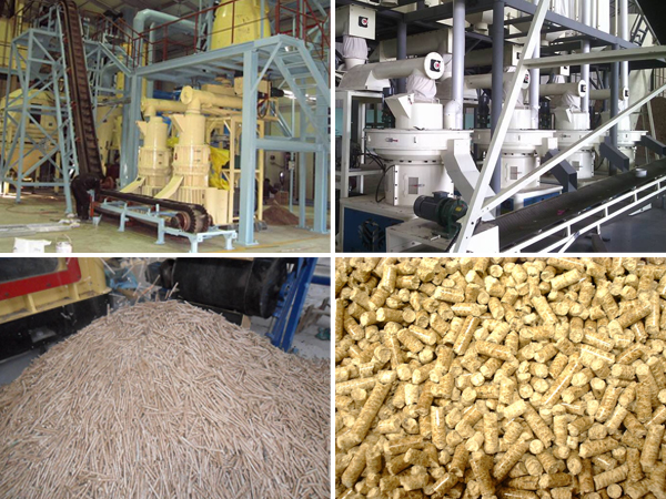 Production Capacity of Container Pellet Plant